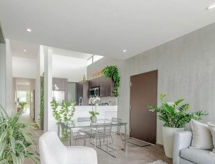 Apartamento - The Ivy