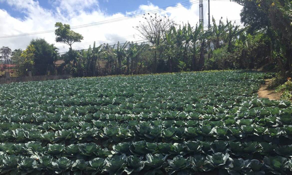 Raw Land Properties in Costa Rica