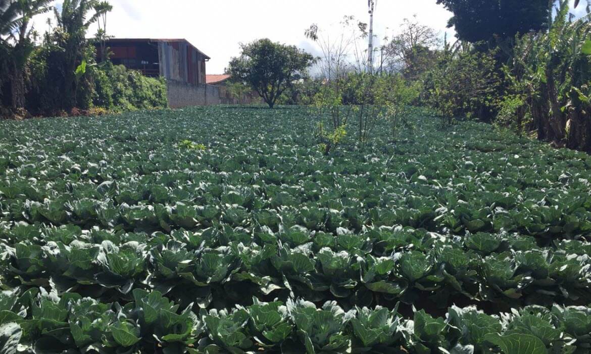 Raw Land Properties in Costa Rica