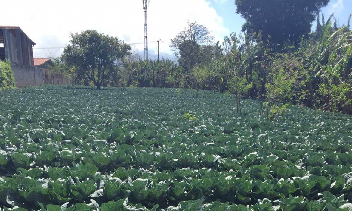 Raw Land Properties in Costa Rica