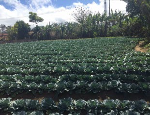 Property in La Cruz, Guanacaste