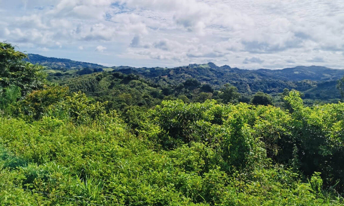 Raw Land Properties in Costa Rica