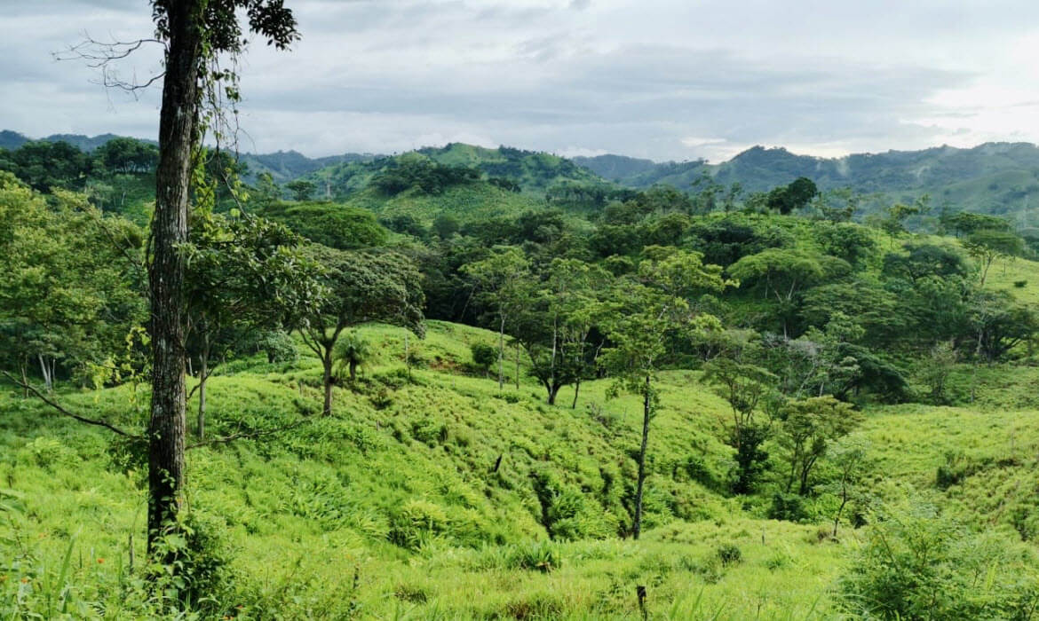 Raw Land Properties in Costa Rica