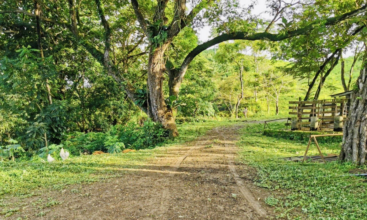 Raw Land Properties in Costa Rica