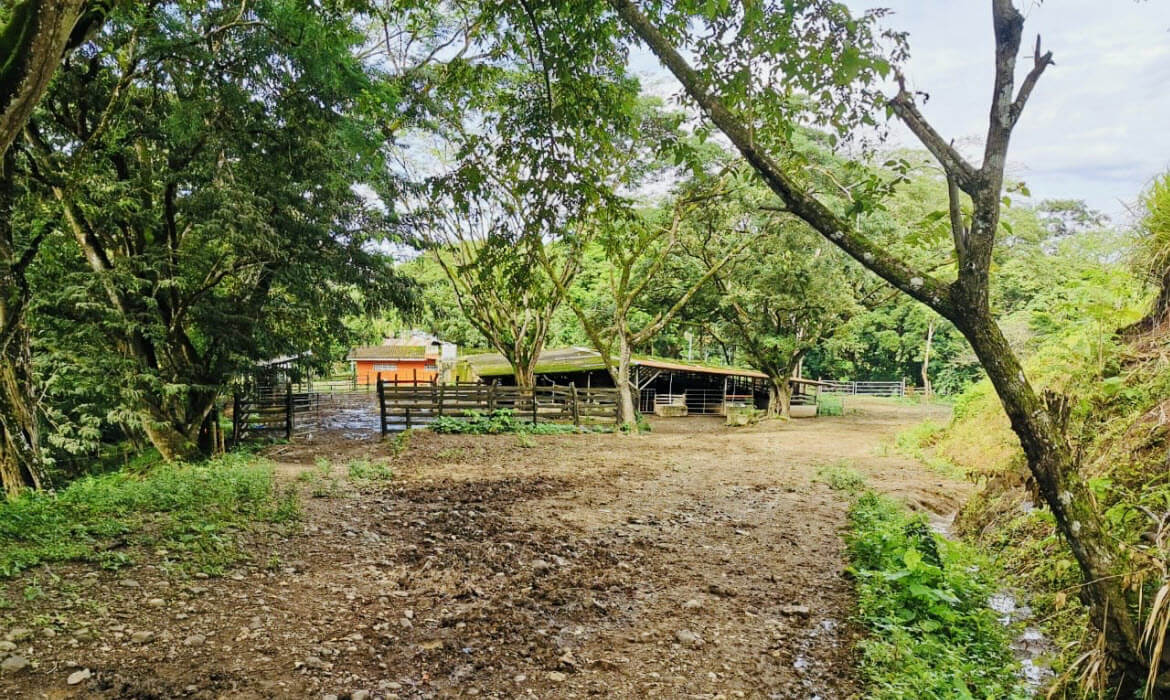 Raw Land Properties in Costa Rica