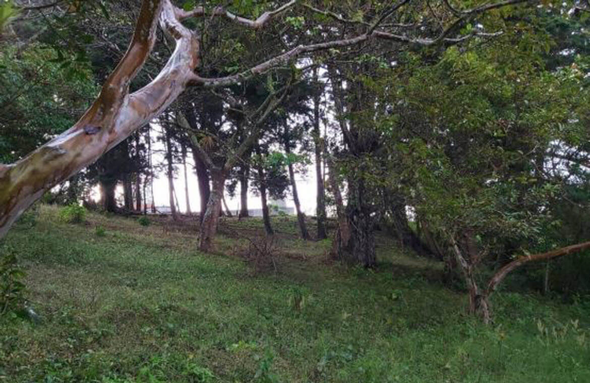 Raw Land Properties in Costa Rica