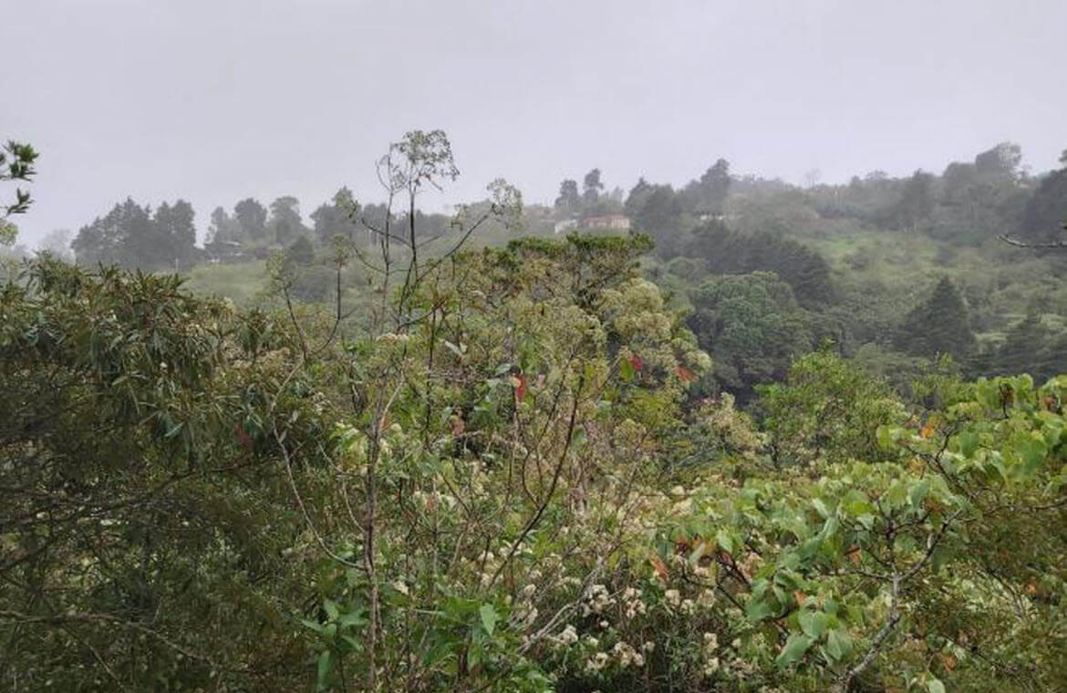 Raw Land Properties in Costa Rica