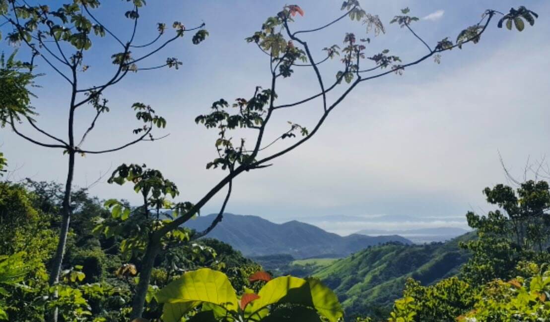 Raw Land Properties in Costa Rica