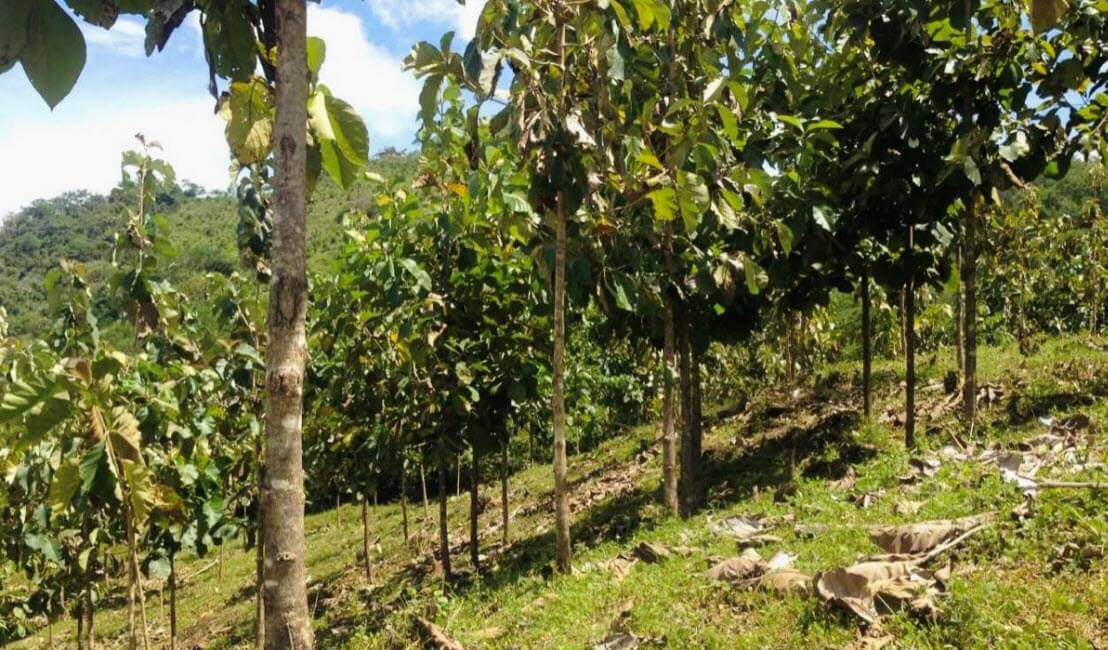 Raw Land Properties in Costa Rica