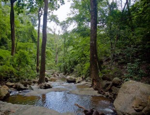 Propiedad En Nandayure