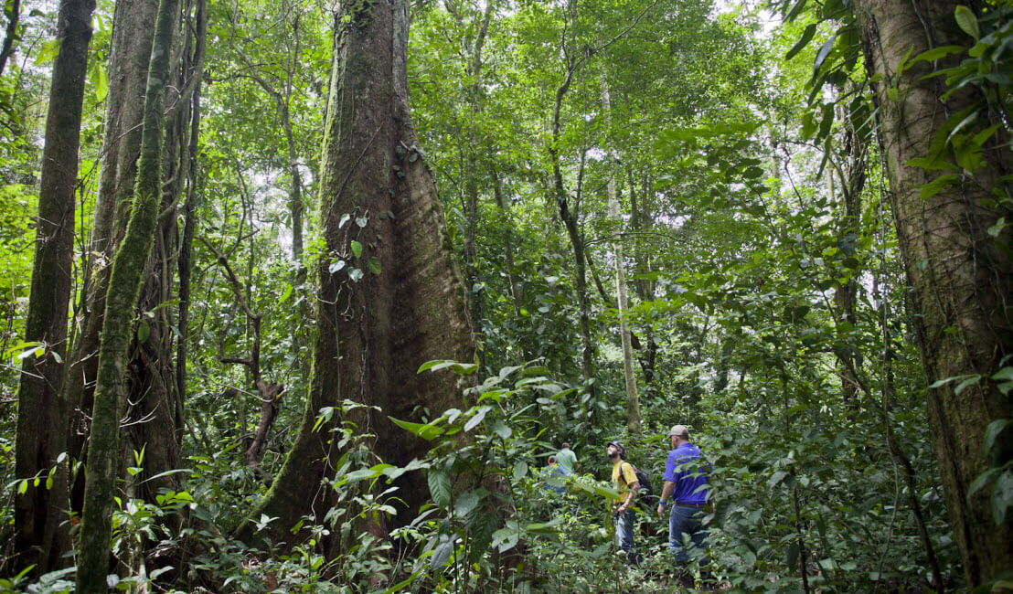 Raw Land Properties in Costa Rica