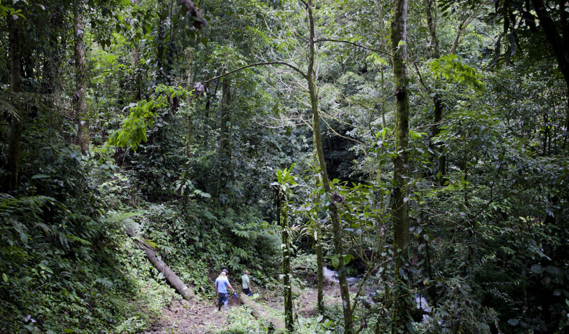 Raw Land Properties in Costa Rica