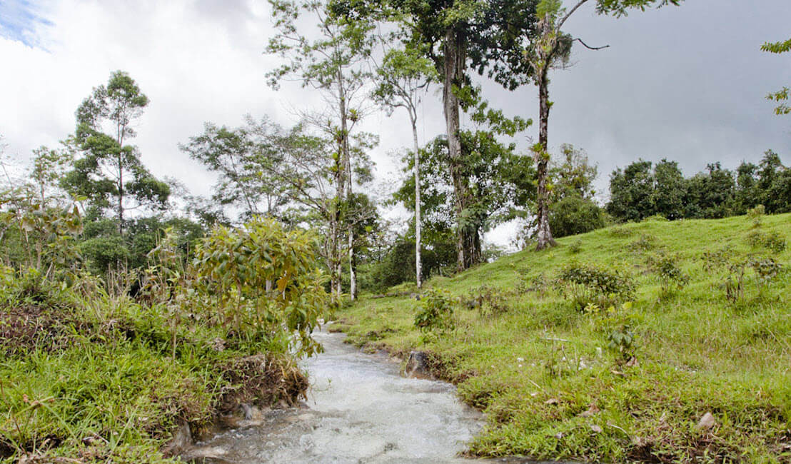 Raw Land Properties in Costa Rica