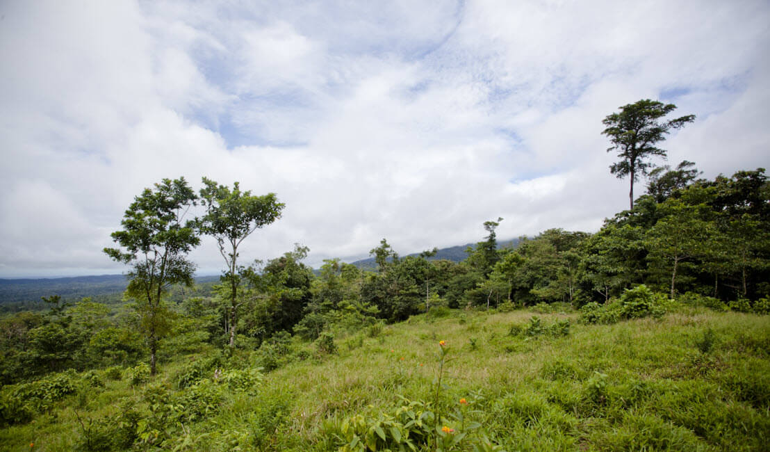 Raw Land Properties in Costa Rica