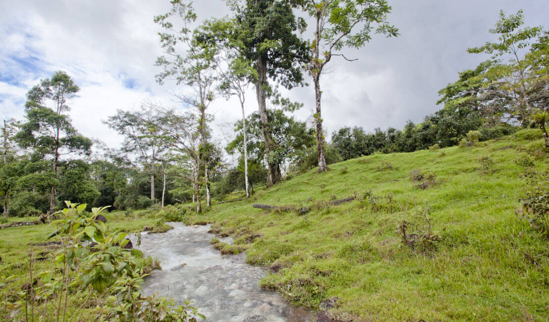 Raw Land Properties in Costa Rica