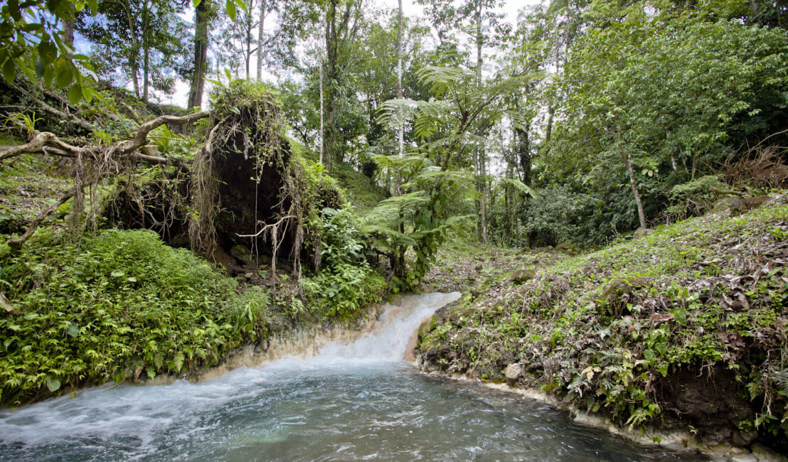 Raw Land Properties in Costa Rica