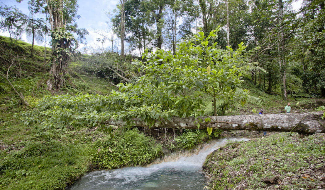 Raw Land Properties in Costa Rica