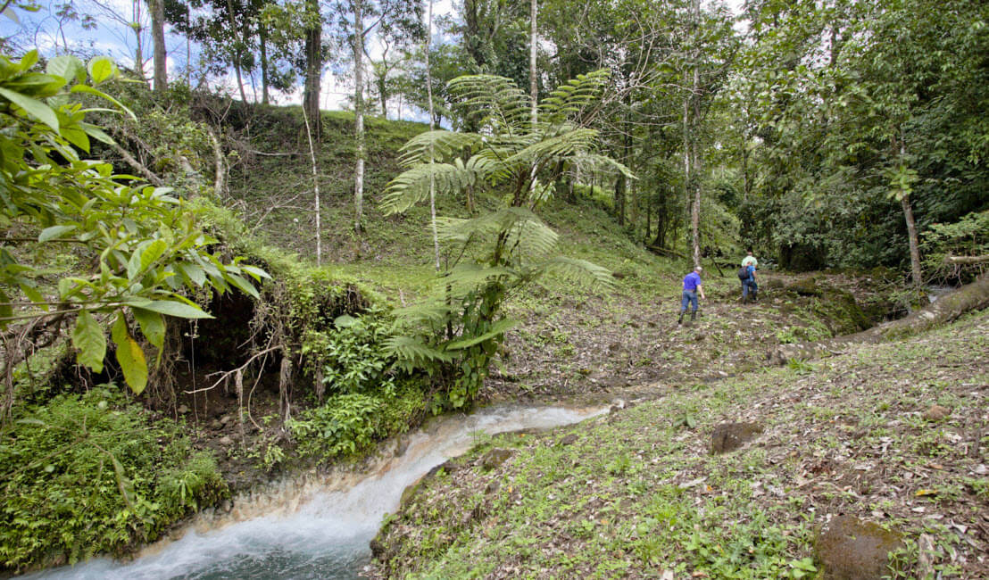 Raw Land Properties in Costa Rica