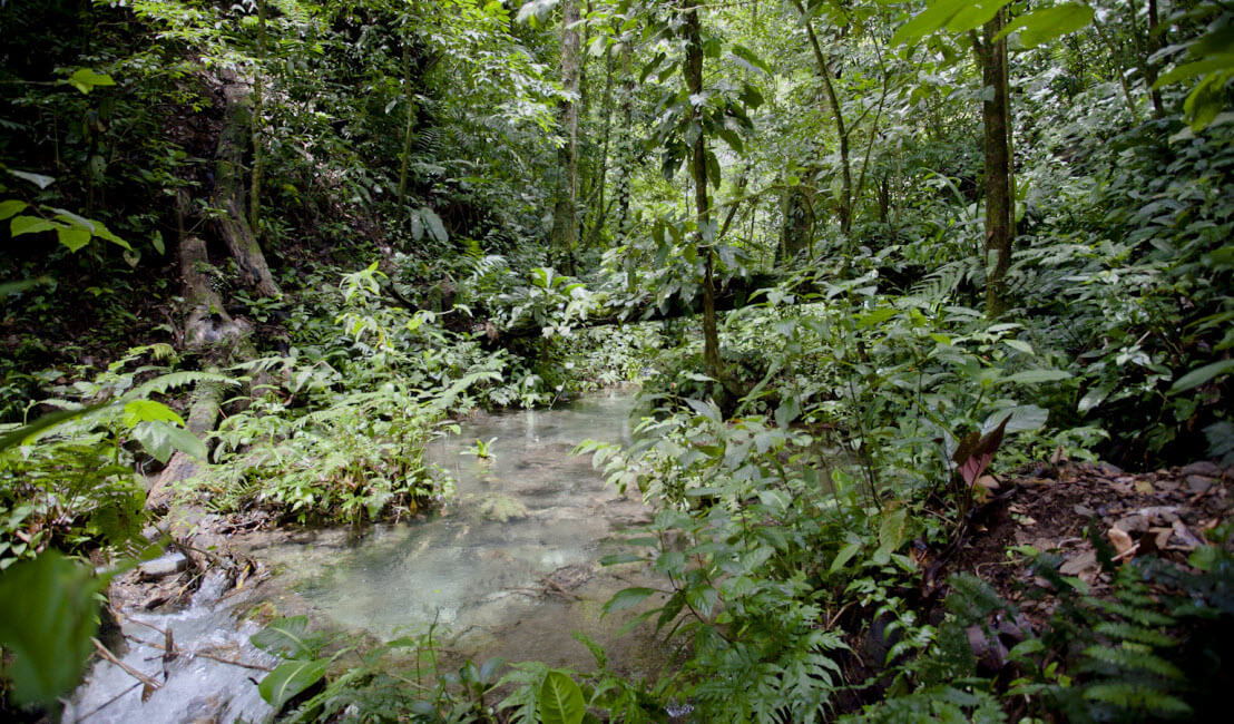 Raw Land Properties in Costa Rica