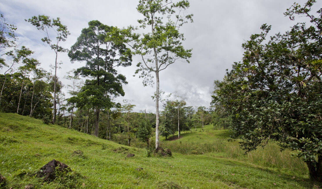 Raw Land Properties in Costa Rica