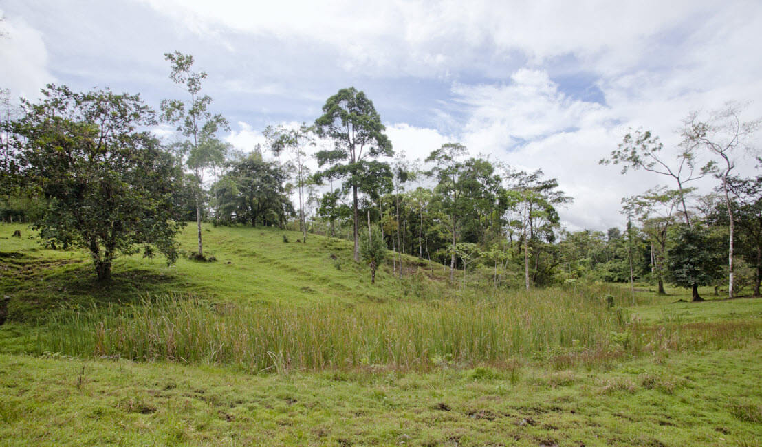 Raw Land Properties in Costa Rica